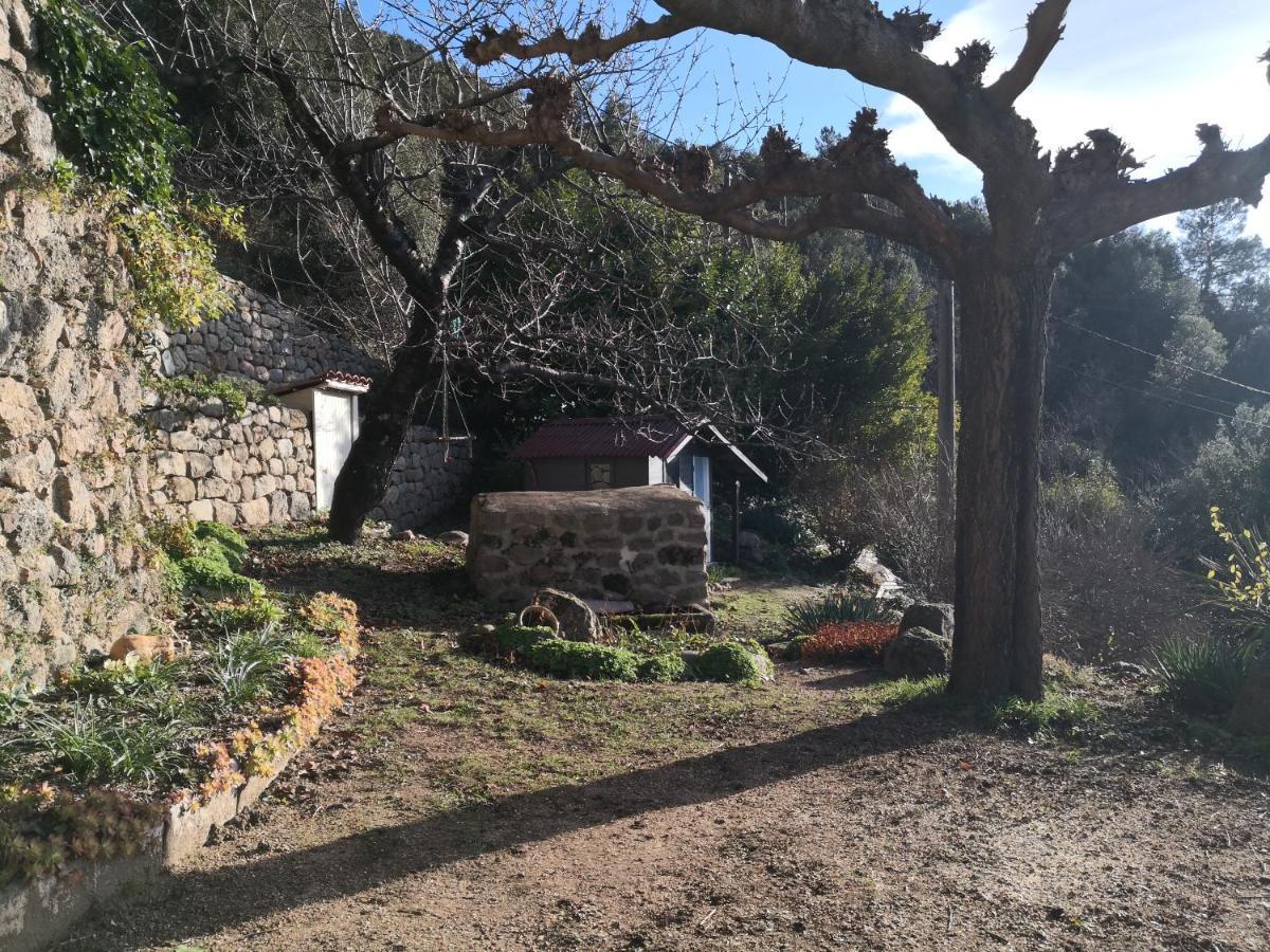 Studio Des Combes Dunières-sur-Eyrieux Dış mekan fotoğraf